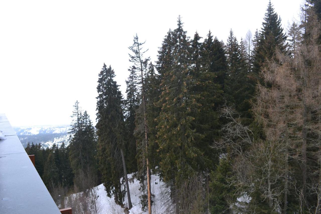 Panorama Apartmany Strbske Pleso ภายนอก รูปภาพ