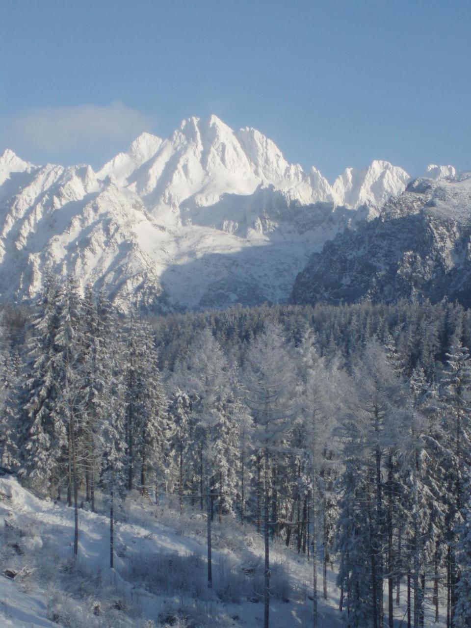 Panorama Apartmany Strbske Pleso ภายนอก รูปภาพ